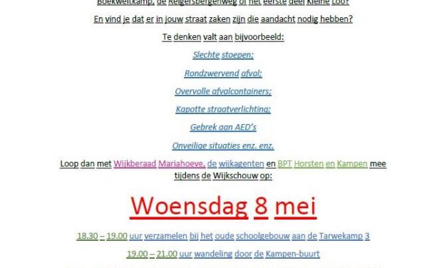 Buurtschouw in de Kampen